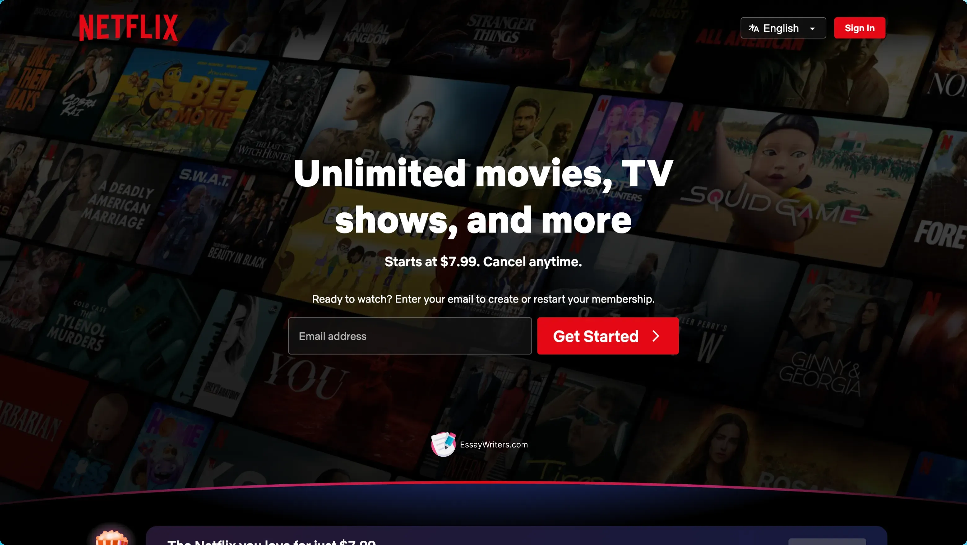 Netflix.webp